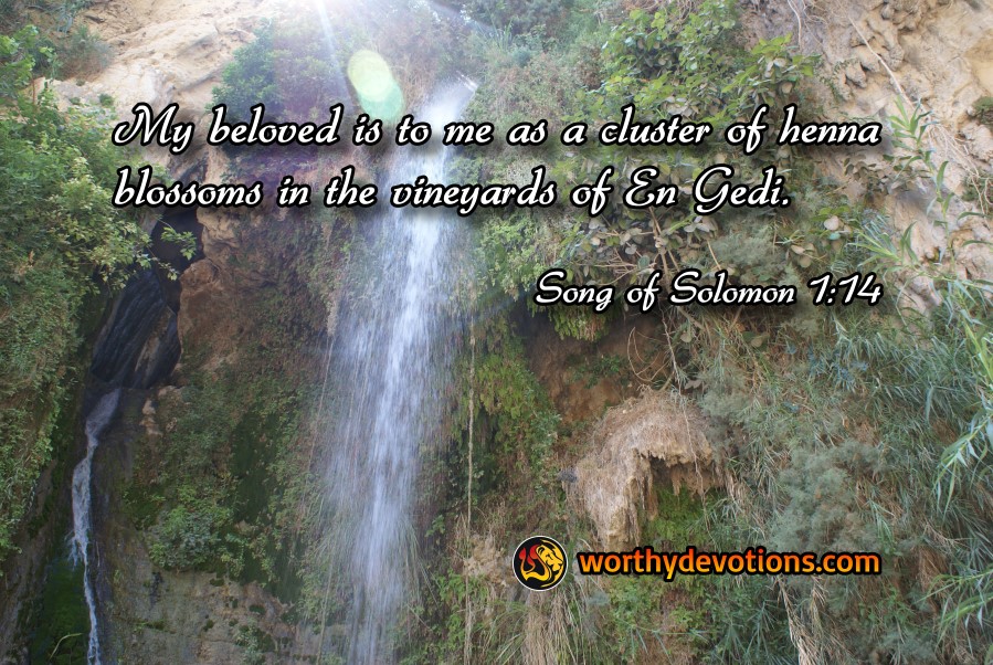 Become a Spring in the Desert! - Worthy Christian Devotions - Daily ...